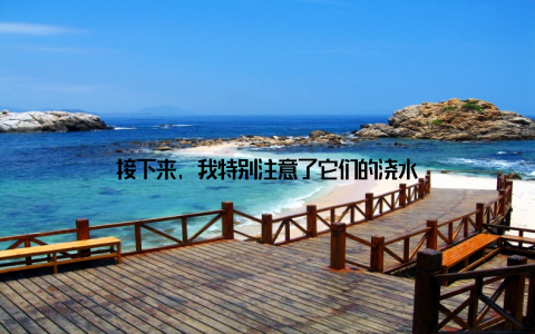 接下来, 我特别注意了它们的浇水