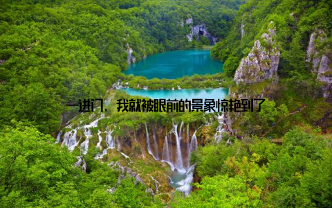 一进门, 我就被眼前的景象惊艳到了