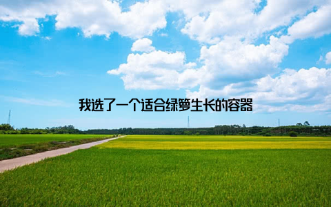 我选了一个适合绿箩生长的容器