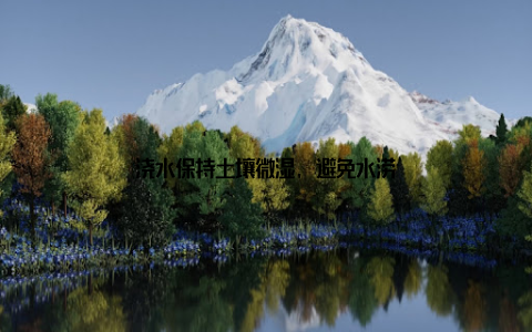 浇水保持土壤微湿, 避免水涝