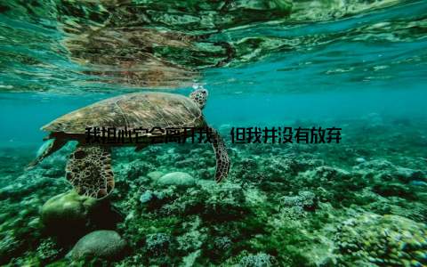 我担心它会离开我, 但我并没有放弃