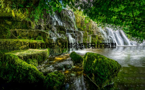 每当看到它, 我都会感到无比的欣慰