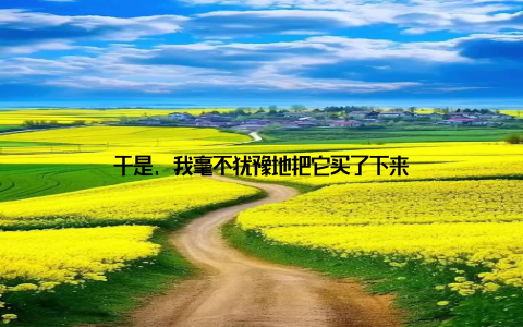 于是, 我毫不犹豫地把它买了下来