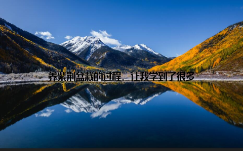 养紫荆盆栽的过程, 让我学到了很多