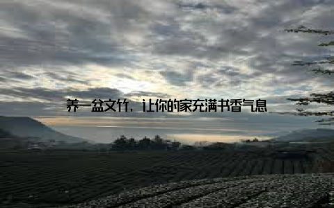 养一盆文竹, 让你的家充满书香气息