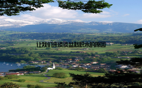 让我们来谈谈盆栽积水的原因