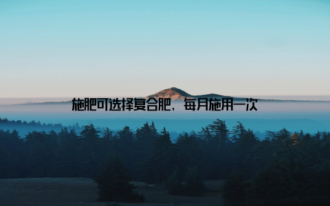 施肥可选择复合肥, 每月施用一次