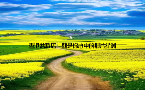 香港盆栽店, 就是你心中的那片绿洲