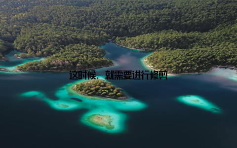 这时候, 就需要进行修剪