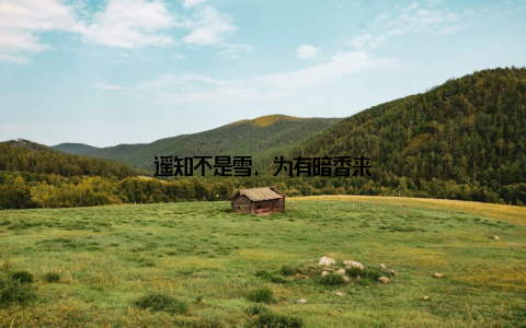 遥知不是雪, 为有暗香来