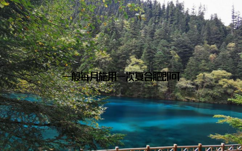 一般每月施用一次复合肥即可