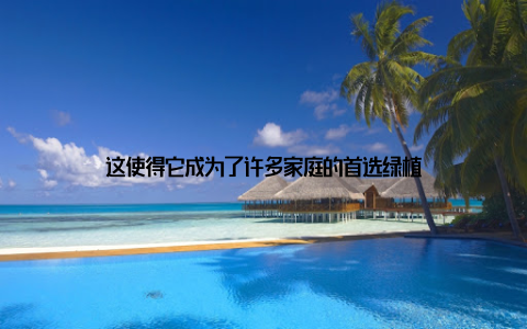 这使得它成为了许多家庭的首选绿植