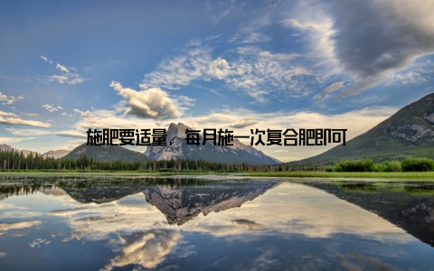 施肥要适量, 每月施一次复合肥即可