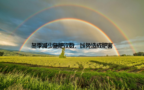 冬季减少施肥次数, 以免造成肥害
