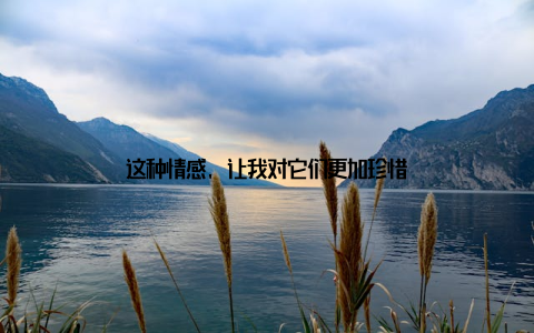 这种情感, 让我对它们更加珍惜