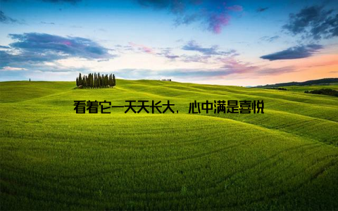 看着它一天天长大, 心中满是喜悦