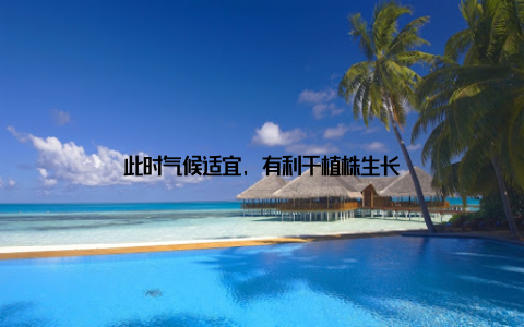 此时气候适宜, 有利于植株生长