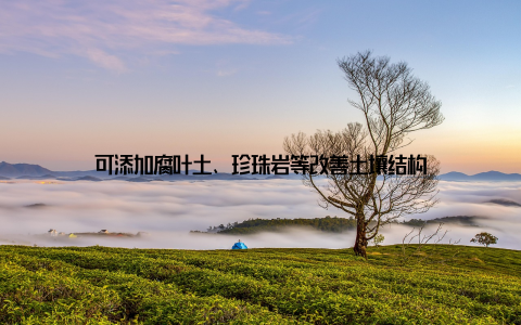 可添加腐叶土、珍珠岩等改善土壤结构