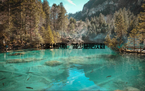 冬季休眠期, 减少施肥次数