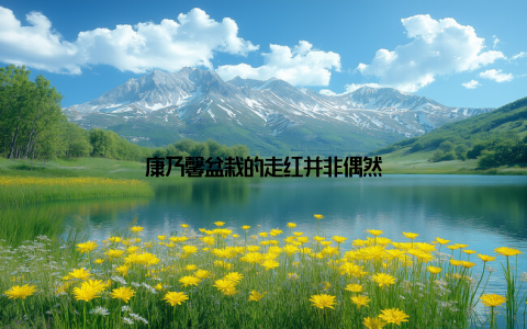 康乃馨盆栽的走红并非偶然