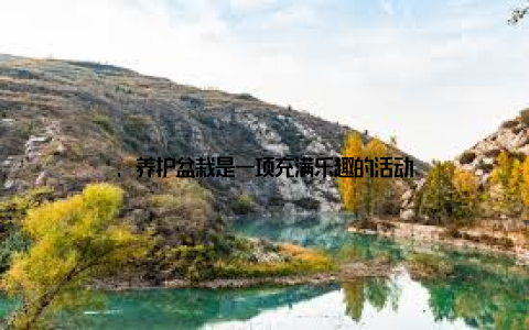 , 养护盆栽是一项充满乐趣的活动