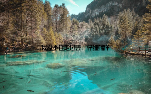 我忍不住走过去, 仔细端详