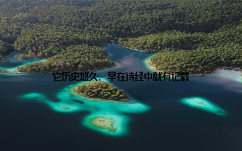 它历史悠久, 早在诗经中就有记载