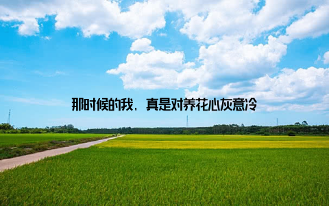 那时候的我, 真是对养花心灰意冷