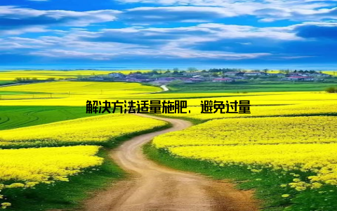 解决方法适量施肥, 避免过量