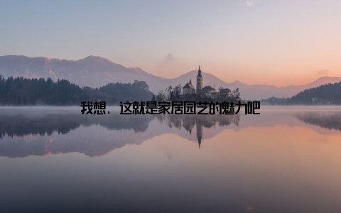 我想, 这就是家居园艺的魅力吧