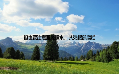 但也要注意避免积水, 以免根部腐烂