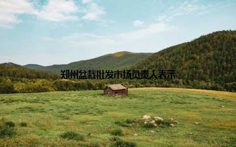 郑州盆栽批发市场负责人表示