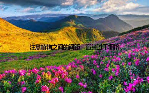 注意植物之间的间距, 避免过于拥挤