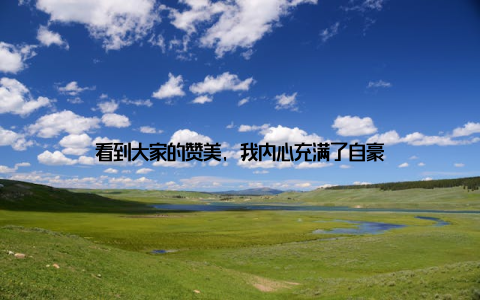 看到大家的赞美, 我内心充满了自豪