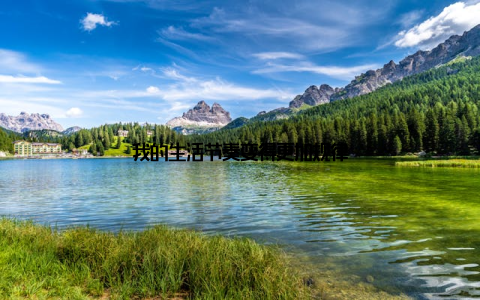 我的生活节奏变得更加规律