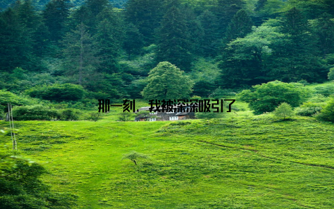 那一刻, 我被深深吸引了