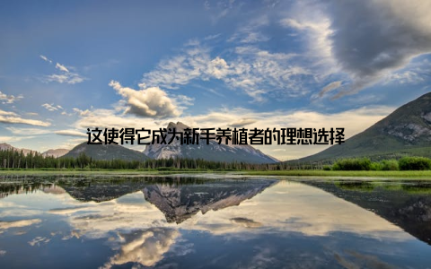 这使得它成为新手养植者的理想选择