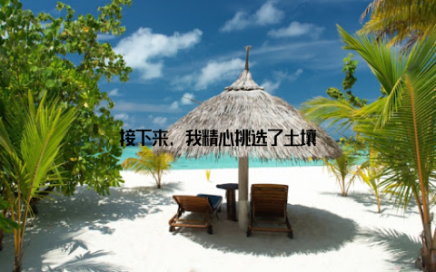 接下来, 我精心挑选了土壤