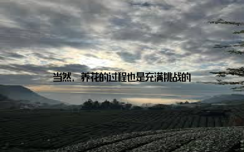 当然, 养花的过程也是充满挑战的