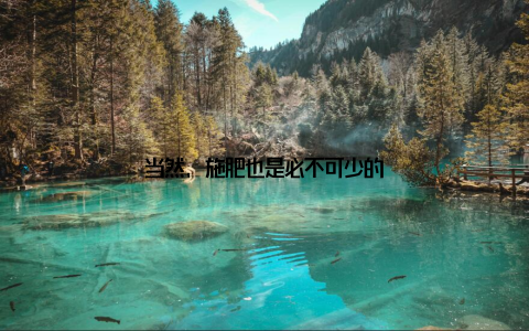 当然, 施肥也是必不可少的