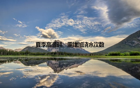 夏季高温时, 需增加浇水次数