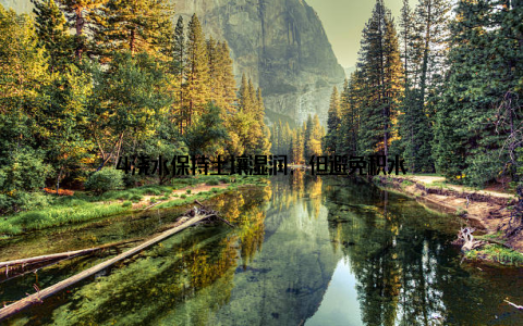 4浇水保持土壤湿润, 但避免积水