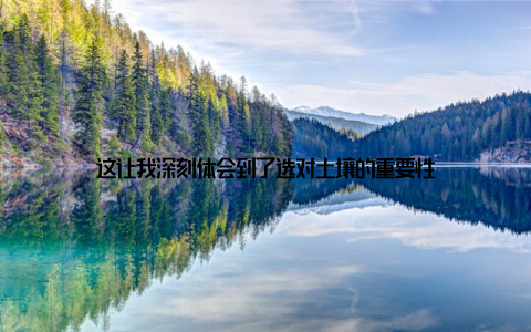 这让我深刻体会到了选对土壤的重要性
