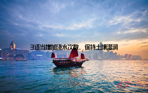 3适当增加浇水次数, 保持土壤湿润