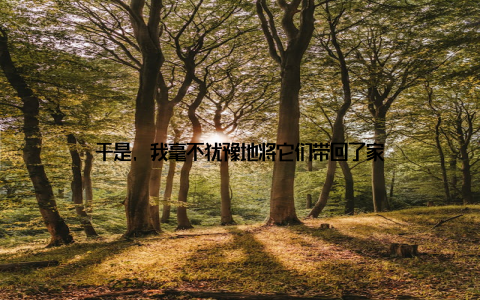 于是, 我毫不犹豫地将它们带回了家