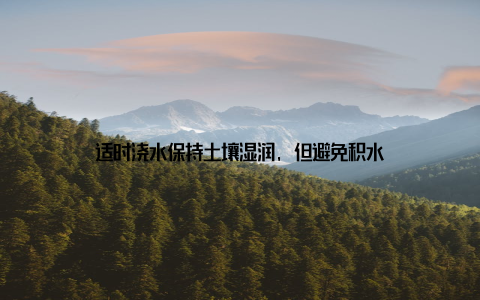 适时浇水保持土壤湿润, 但避免积水