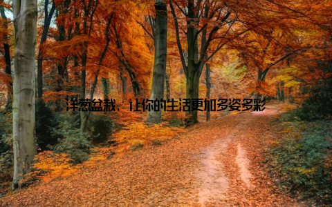 洋葱盆栽, 让你的生活更加多姿多彩
