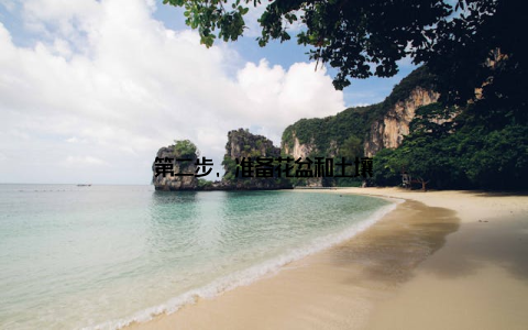 第二步, 准备花盆和土壤