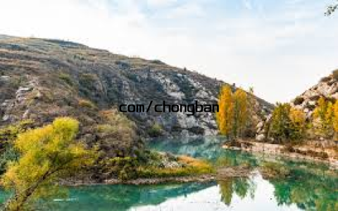 com/chongban