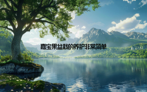 嘉宝果盆栽的养护非常简单